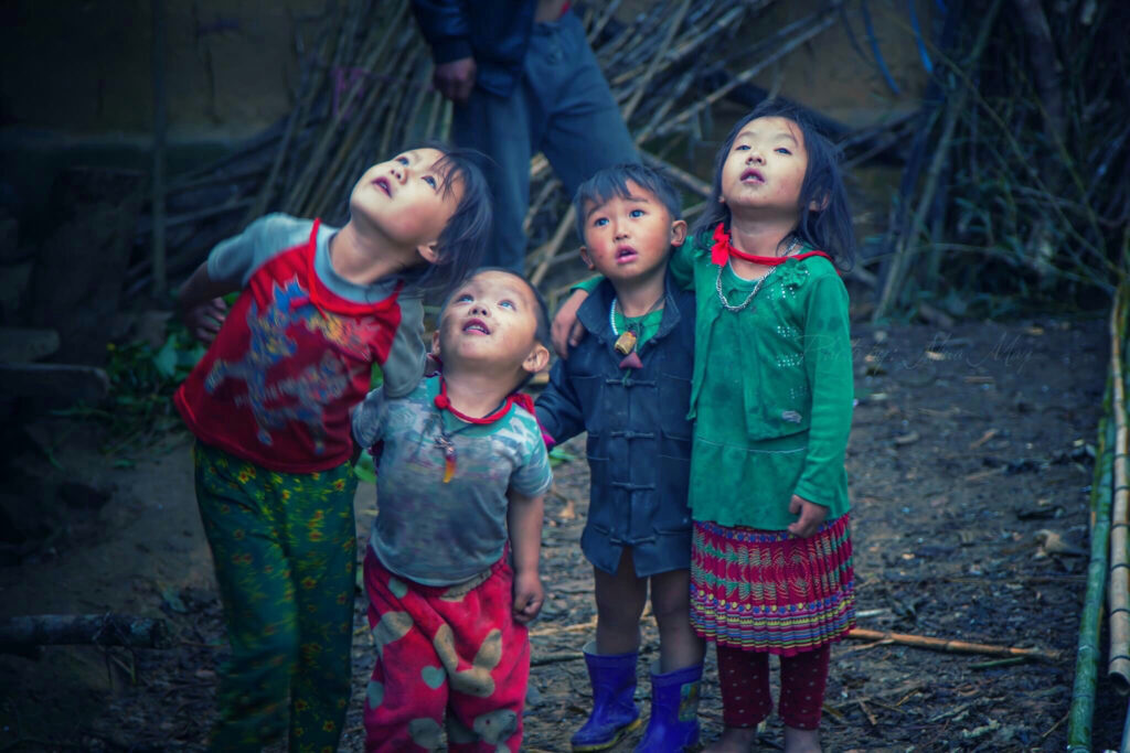 đồng cảm và thấu hiểu
